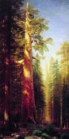 Bierstadt, Albert - The Great Trees